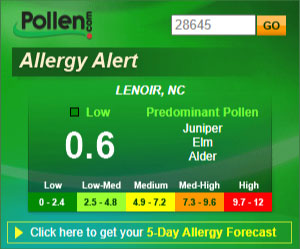 Go To Pollen.com
